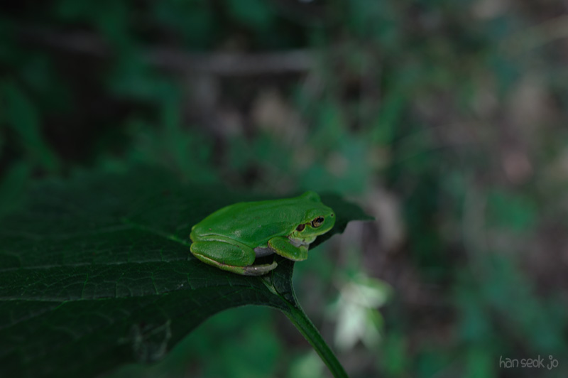 HSJ_3765.jpg