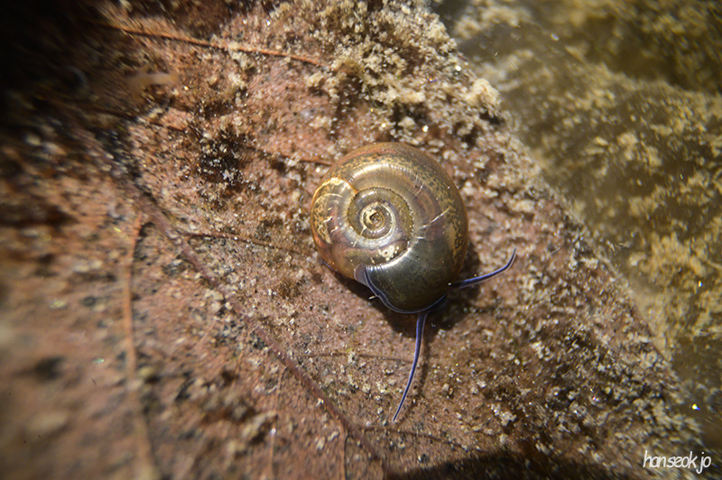 DSC_1962.jpg