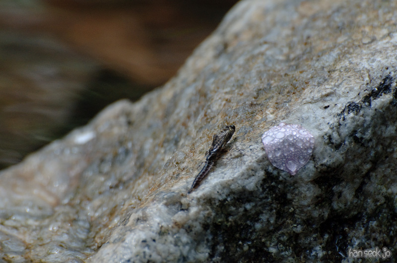 DSC_5900.jpg