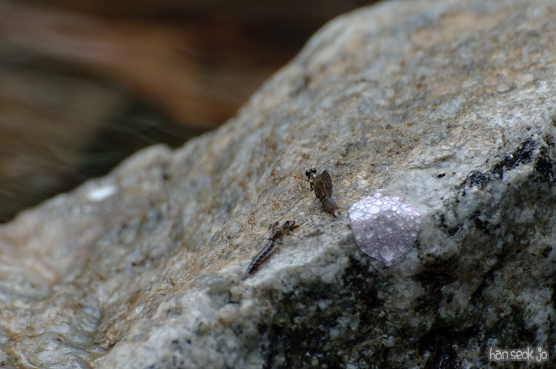 DSC_5902.jpg