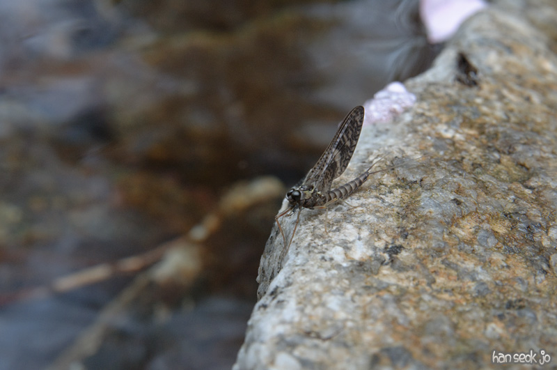 DSC_5907.jpg