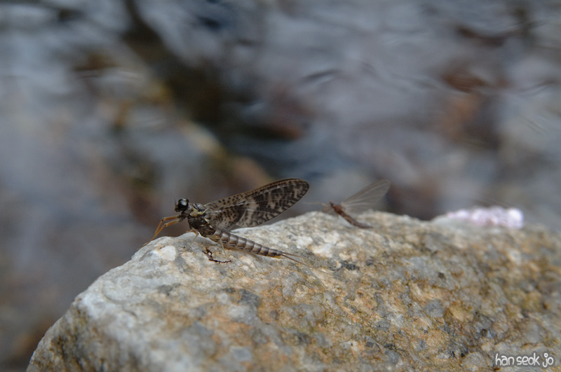 DSC_5908.jpg