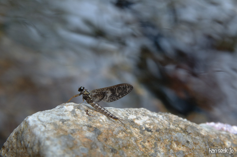 DSC_5909.jpg