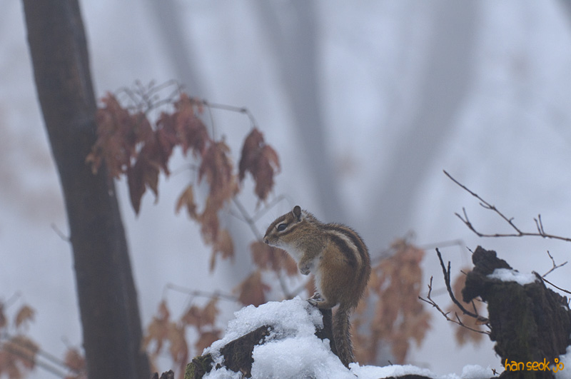 DSC_0168.jpg