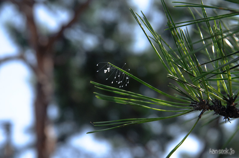 DSC_4310.jpg