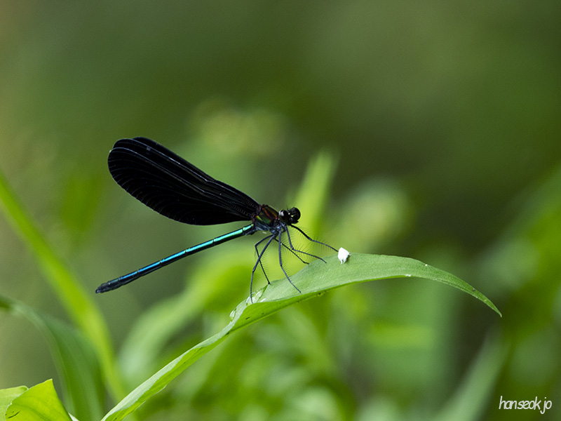 DSCN0214.jpg
