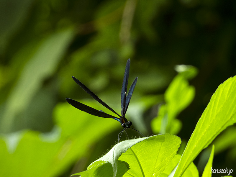 DSCN0191.jpg