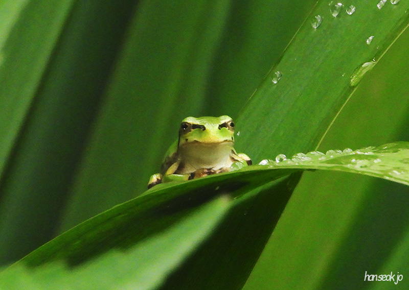 DSCN0150.jpg