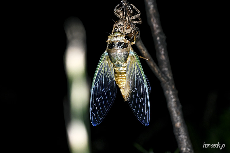 DSC_0341.jpg