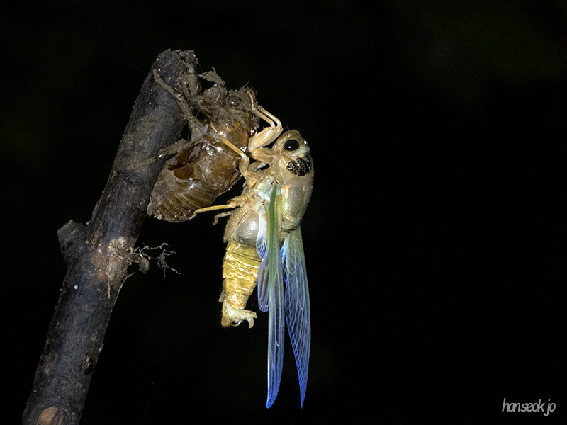 DSCN0629.jpg