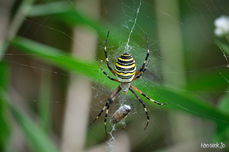 DSC_8442.jpg