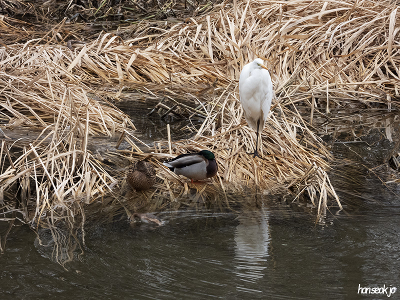 DSCN1531.jpg