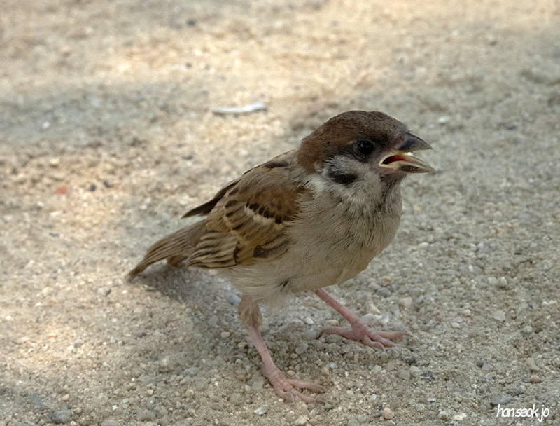 DSCN1049.jpg