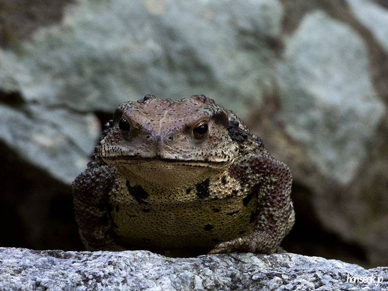 DSCN1210.jpg