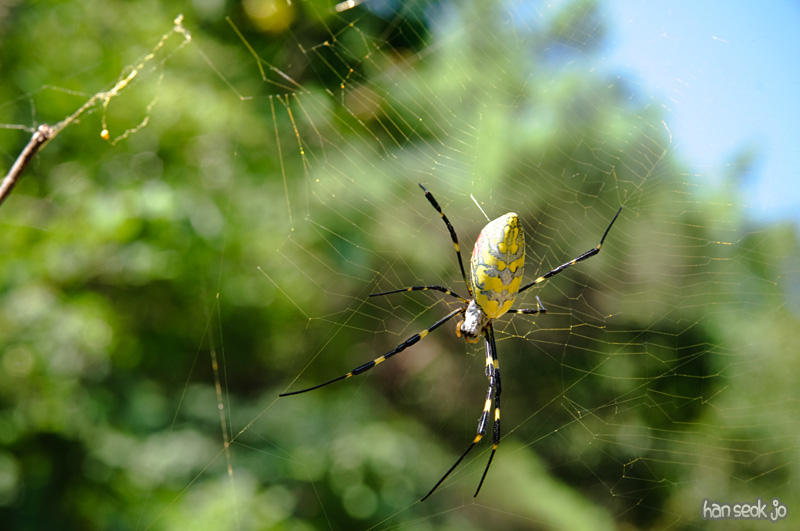 DSC_8514.jpg