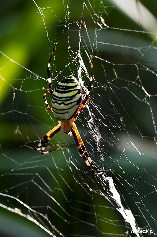 DSC_1200.jpg