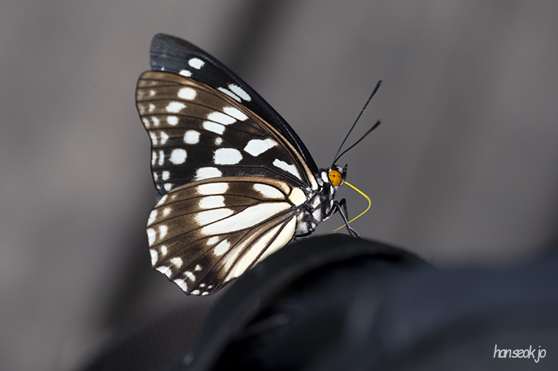 DSC_1204.jpg