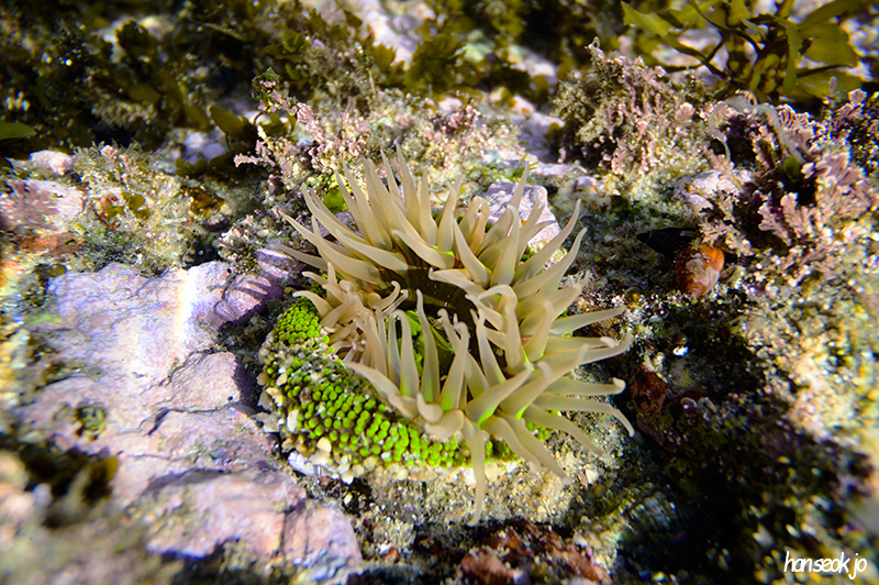 DSC_1012.jpg