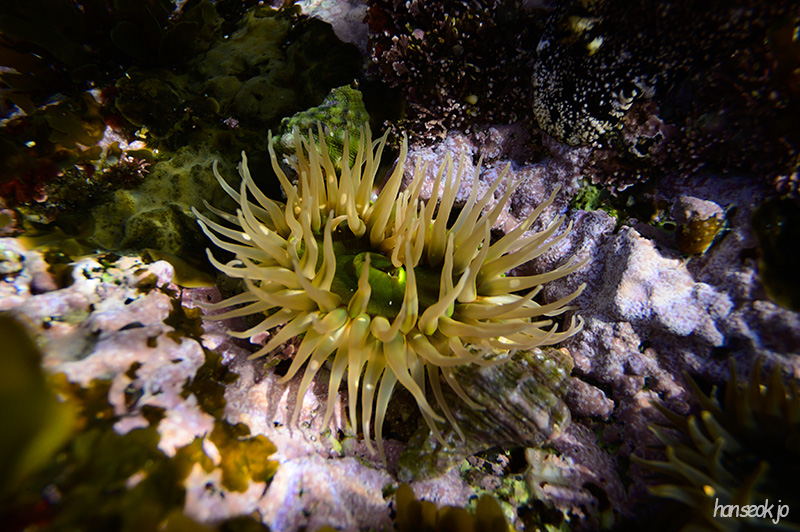 DSC_1006.jpg