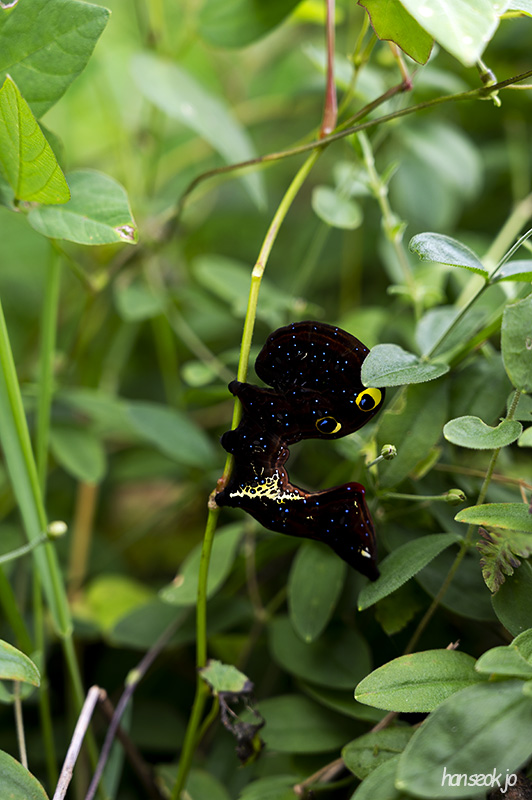 DSC_1296.jpg