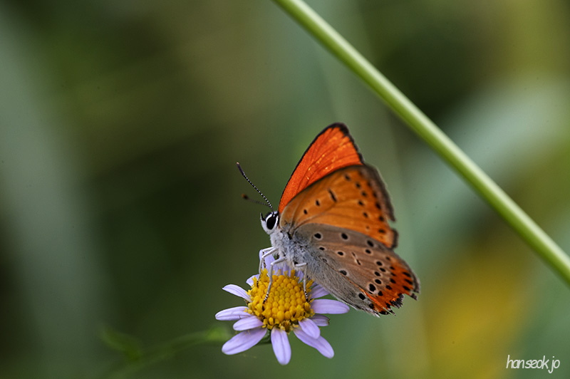 DSC_1197.jpg