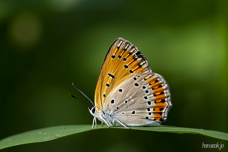 DSC_1191.jpg