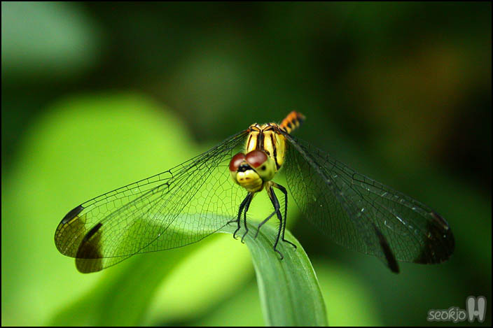 DSCN1445.JPG