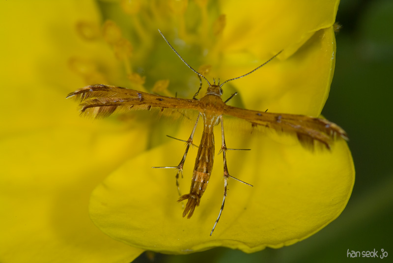 DSCF8931.jpg