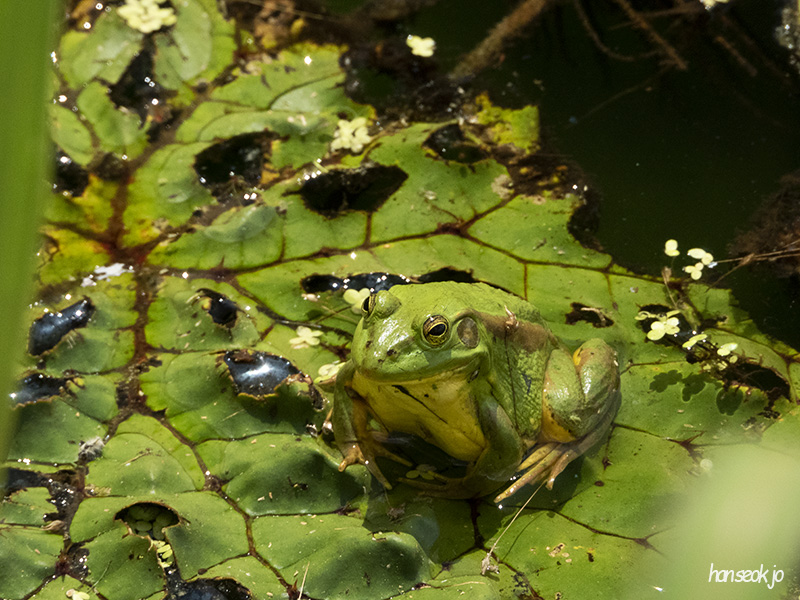 DSCN1223.jpg