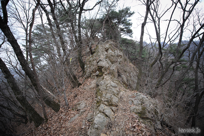 HSJ_8898.jpg