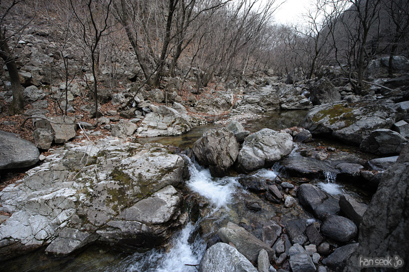 HSJ_8917.jpg