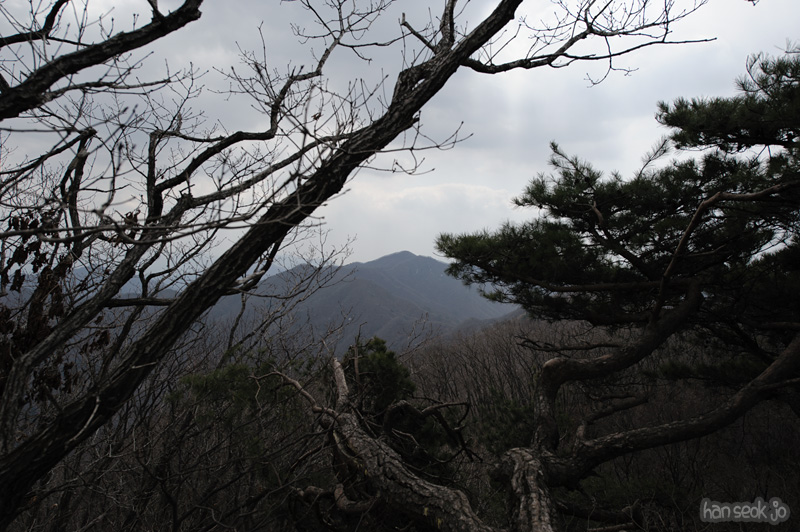 HSJ_8903.jpg