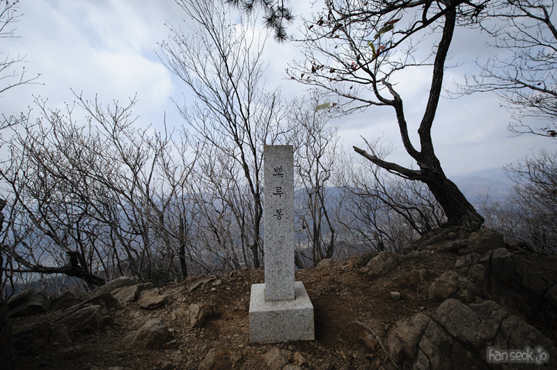 HSJ_8900.jpg