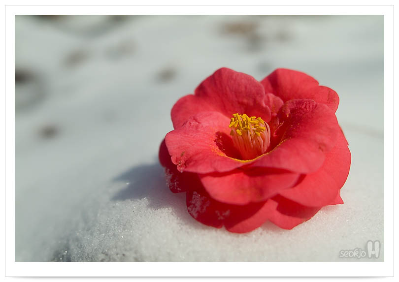 DSCF5893.jpg