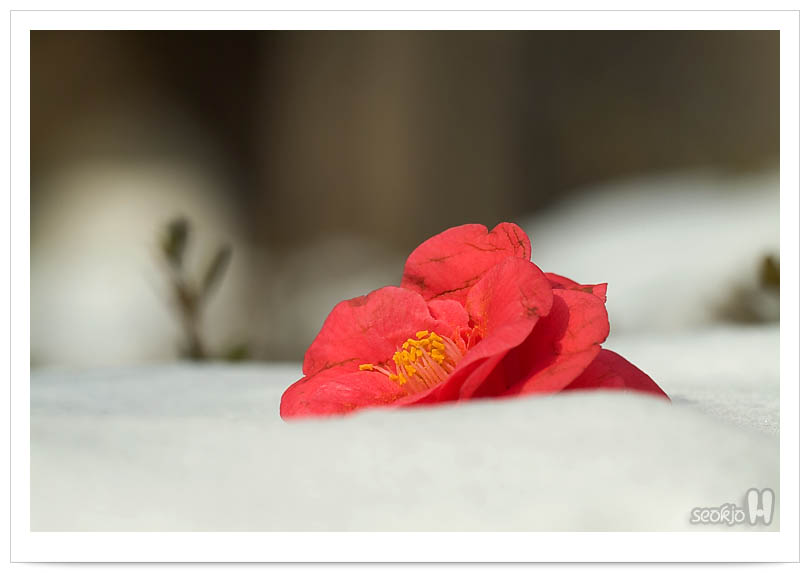 DSCF5919.jpg