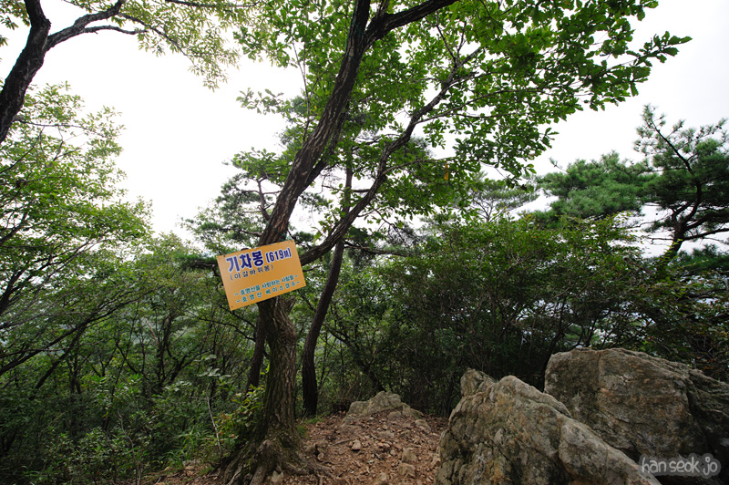 HSJ_1262.jpg