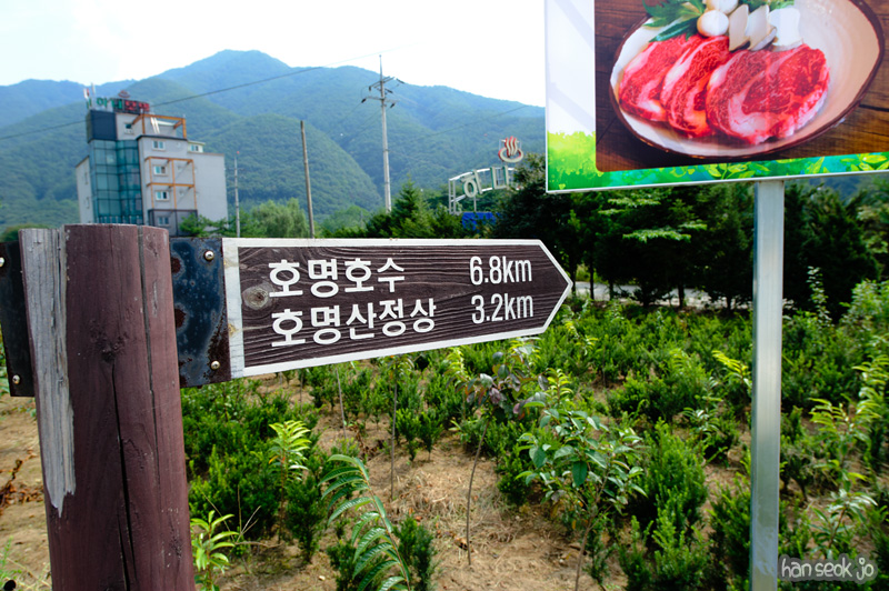 HSJ_1252.jpg