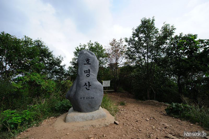 HSJ_1260.jpg