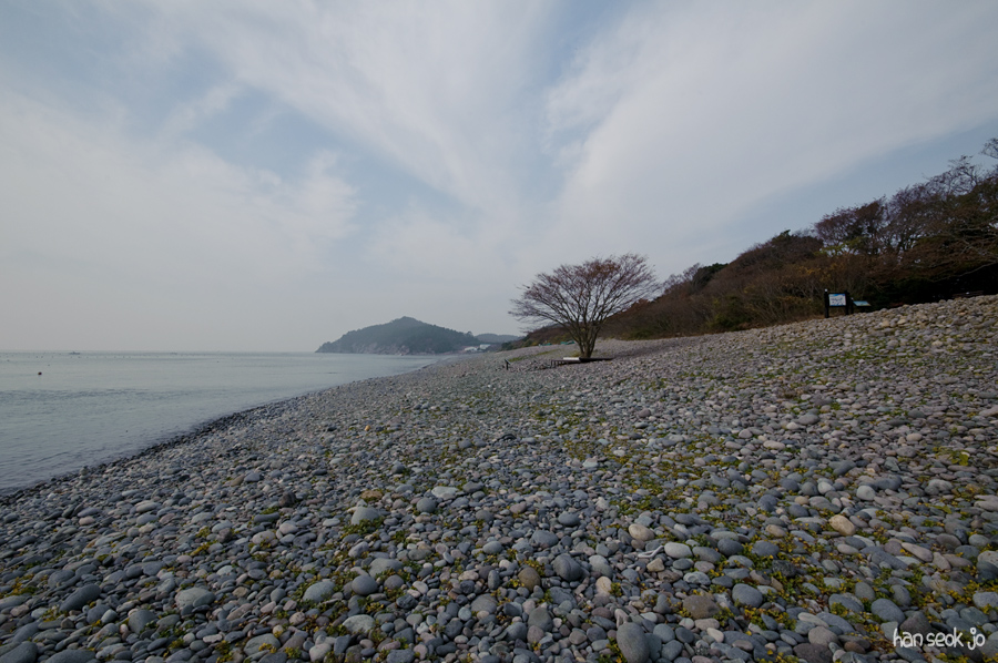 DSC_4547.jpg