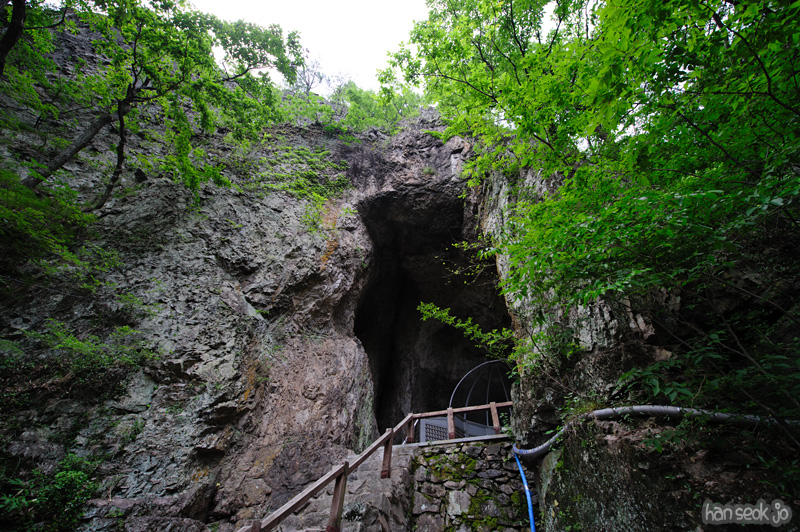 HSJ_0240.jpg