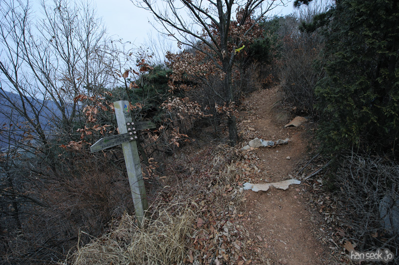 HSJ_7659.jpg