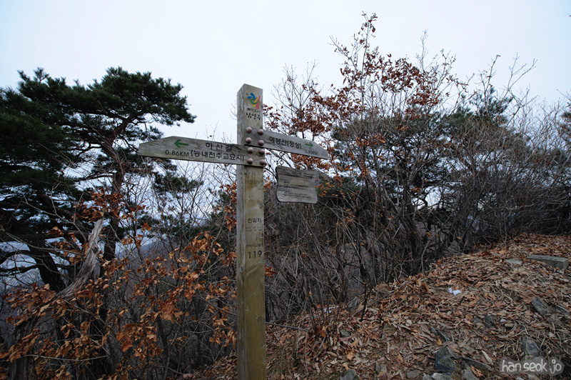 HSJ_7664.jpg