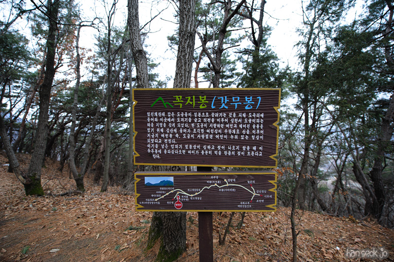 HSJ_7704.jpg