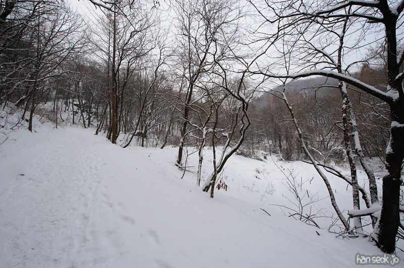 HSJ_6656.jpg