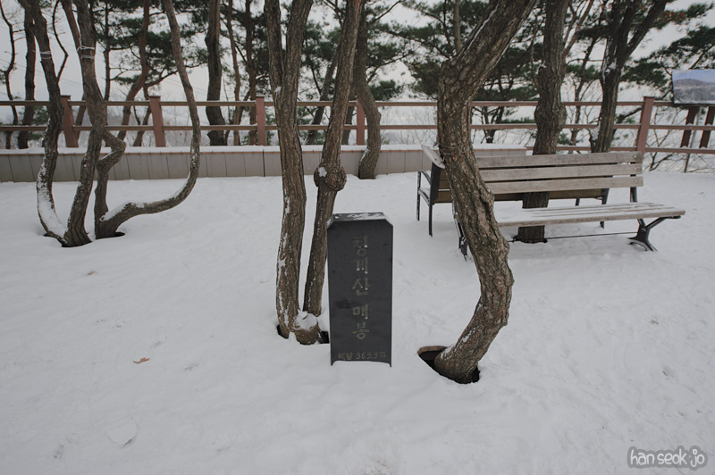 HSJ_6682.jpg