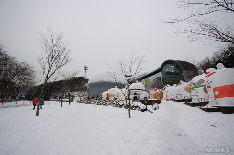 HSJ_6684.jpg