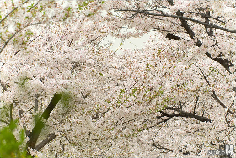 DSCF7171.jpg