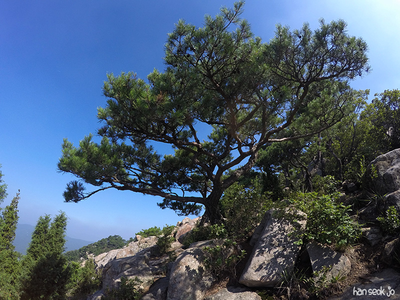 GOPR2253.jpg