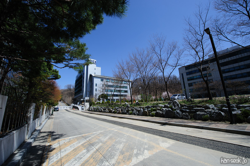 HSJ_8957.jpg