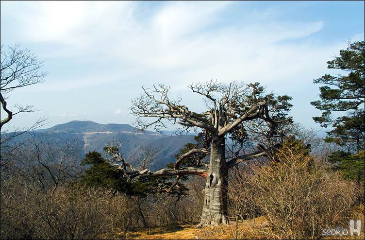 DSCF7778.jpg